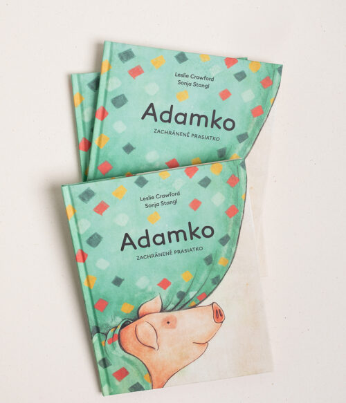 Adamko, zachránené prasiatko