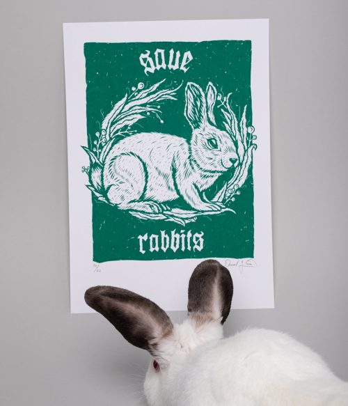 Save Rabbits